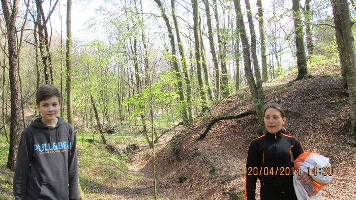 IMG_1168 - primavara