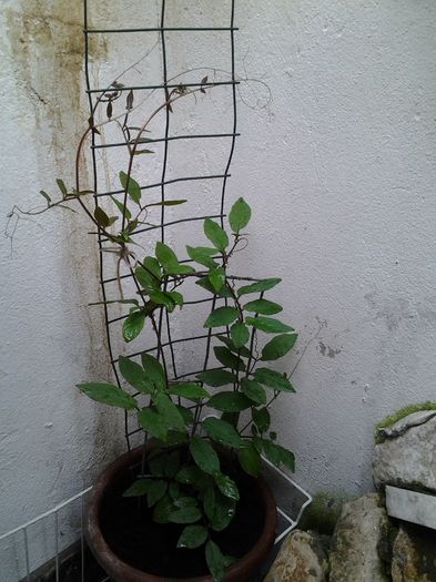 20140424_110515