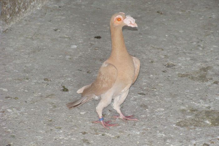 DSC02076