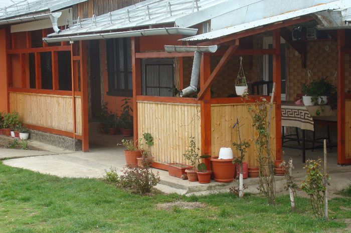 DSC02083