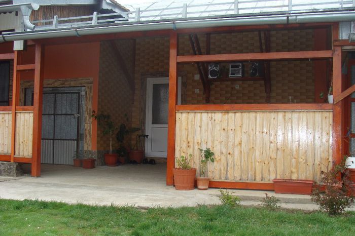 DSC02084