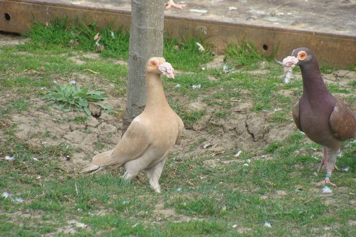 DSC02100