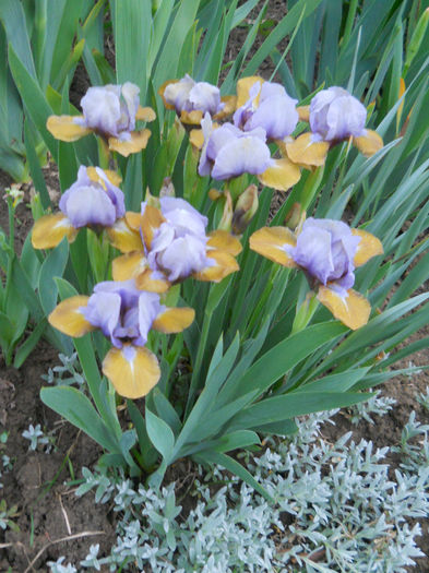 DSCN1340_008