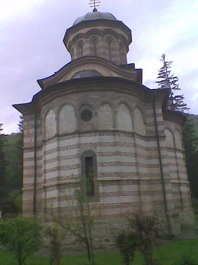 Imag1940 - caciulata 2014 aprilie