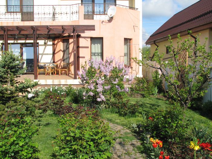 IMG_7469 - a venit primavara -2014