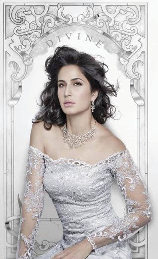 10151189_502070743237895_2250151339001578733_n - Hina Khan