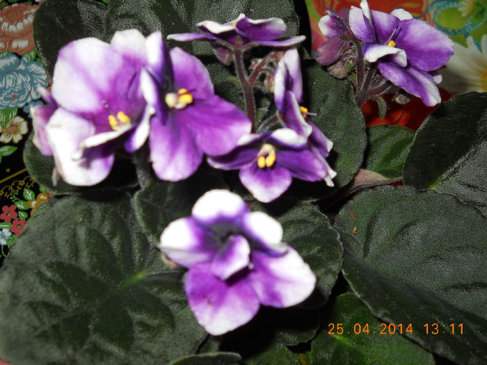011 - APRILIE 2014