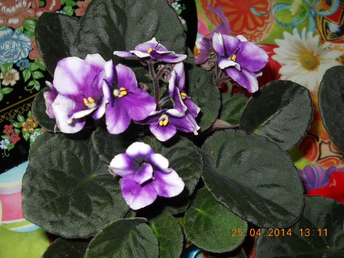 013 - APRILIE 2014