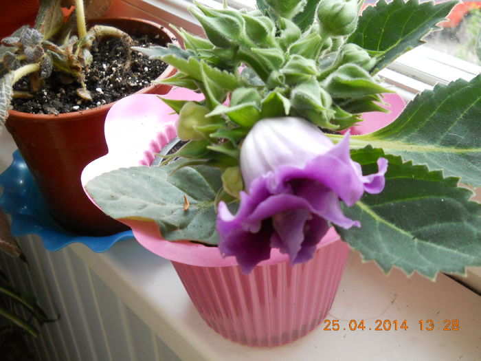 022 - APRILIE 2014