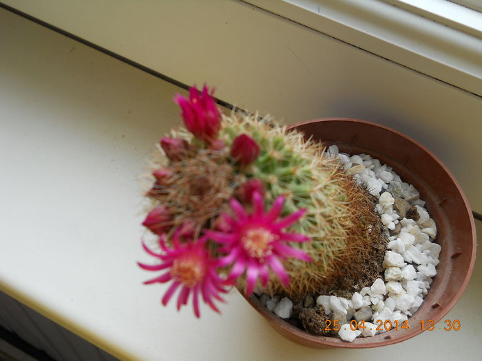 030 - APRILIE 2014