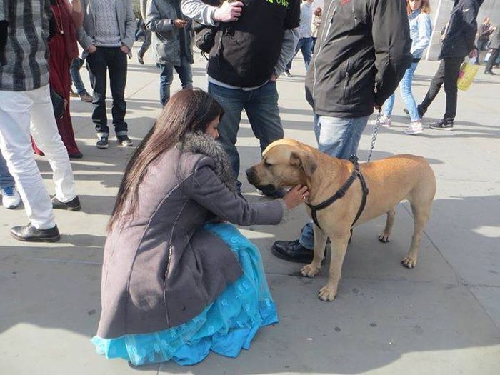 1907288_622495711158931_1404460121847159662_n - Jennifer Singh Grover 2