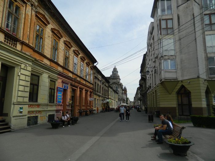 DSCN7151