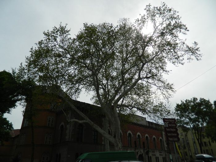 DSCN7158