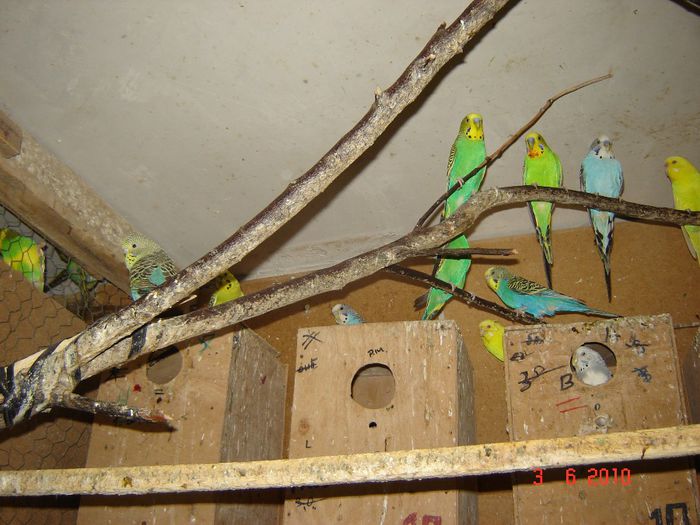 DSC04675