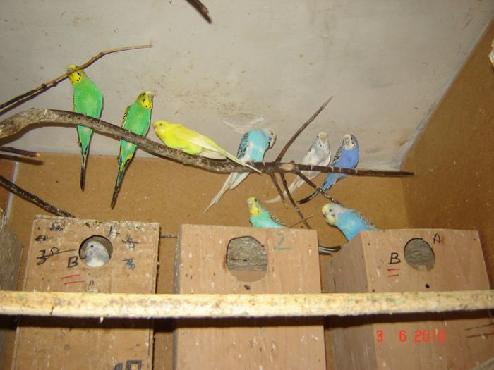 DSC04676