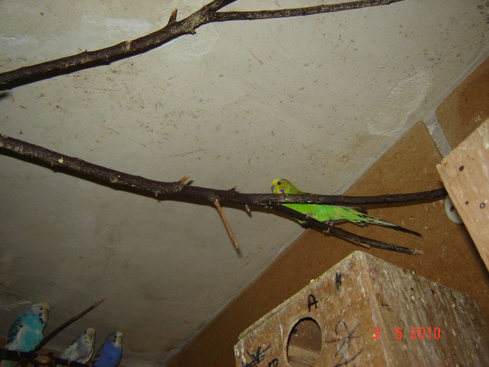 DSC04677