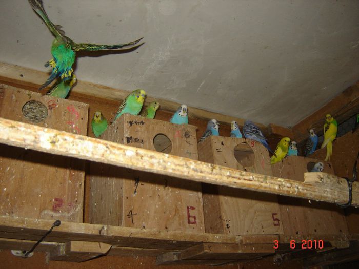 DSC04681