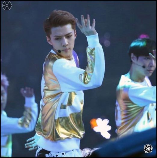 140406 Sehun @ Peace & Love & Friendship Charity Concert.11