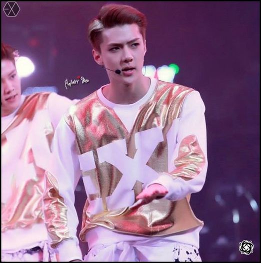 140406 Sehun @ Peace & Love & Friendship Charity Concert.31