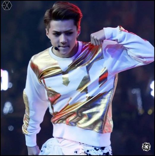 140406 Sehun @ Peace & Love & Friendship Charity Concert.41