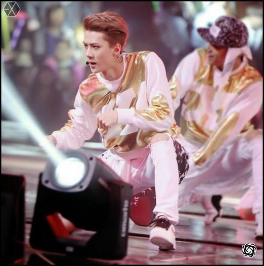 140406 Sehun @ Peace & Love & Friendship Charity Concert.56