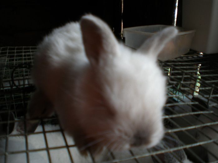 P4250129 - PUI 2014