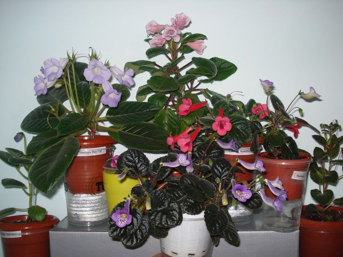 DSC07970