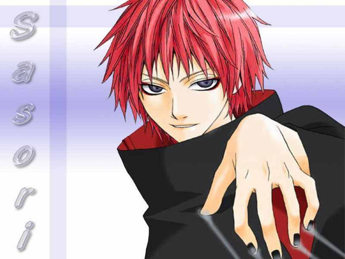 Sasori-sasori-14862975-800-600