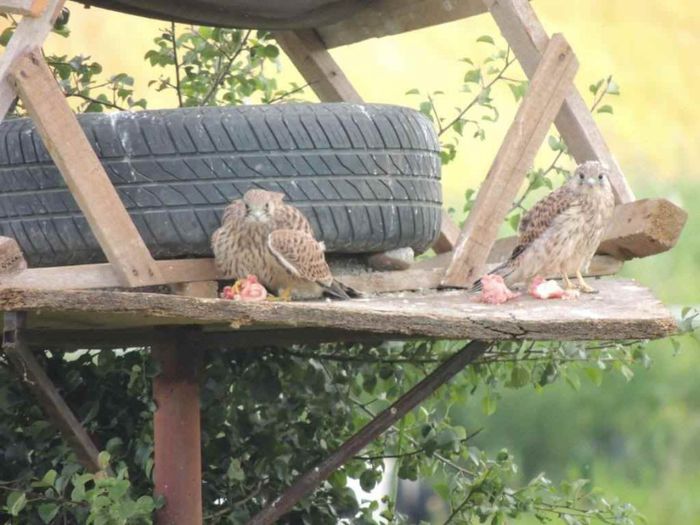 DSCN4559_zpsaaa3ace7