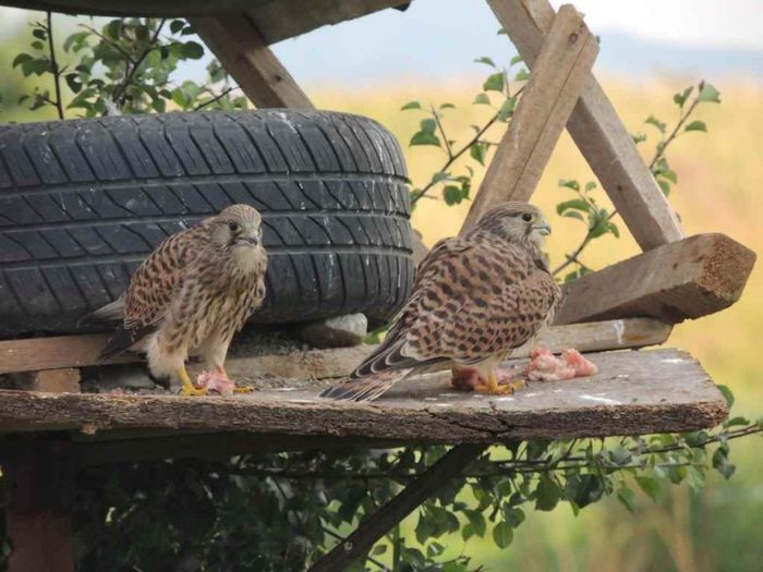 DSCN4565_zps14c1e362