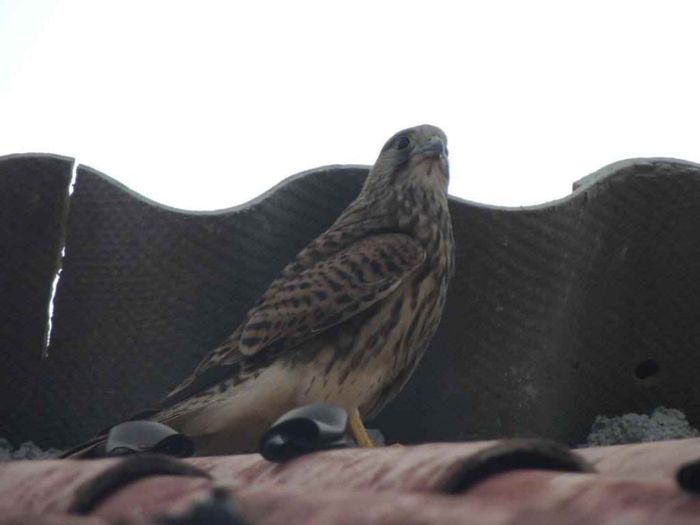 DSCN4573_zpseed2a755