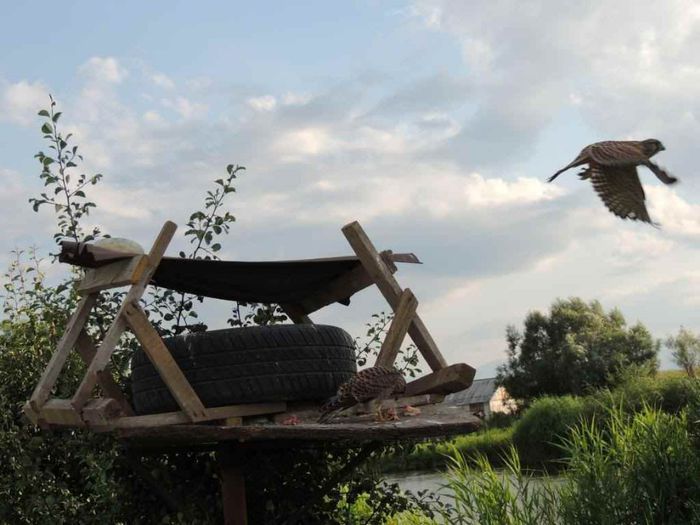 DSCN4579_zps1d6320d4