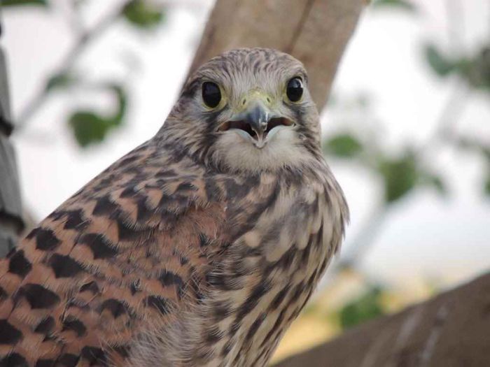 DSCN4580_zps47054102