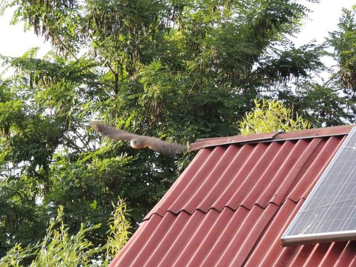 DSCN4593_zps4fd14b71