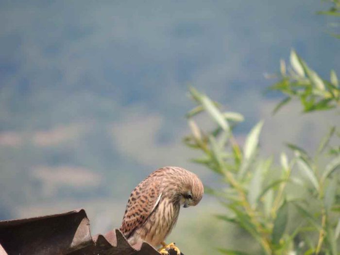 DSCN4618_zps3dd5071b