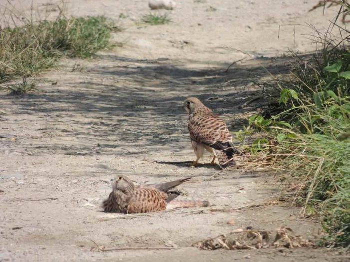 DSCN4620_zpsa7264a63