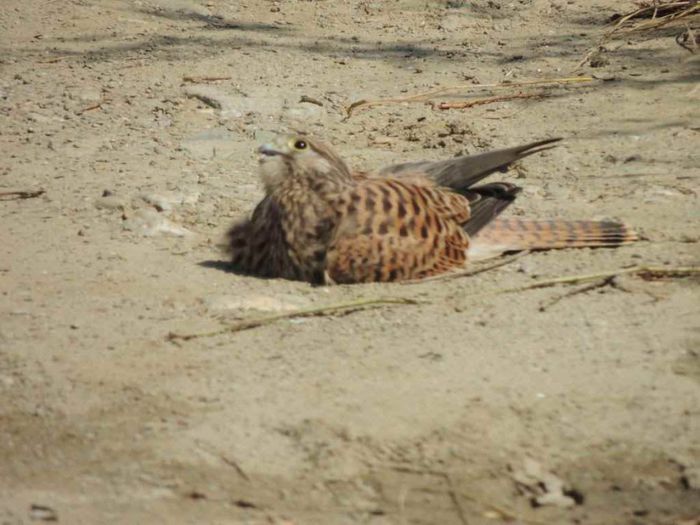 DSCN4621_zps0e6bf22e