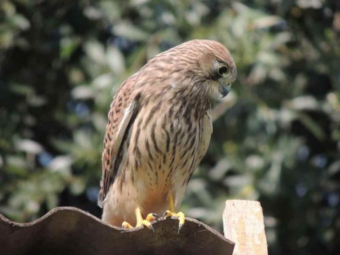 DSCN4622_zpsd165d2fa