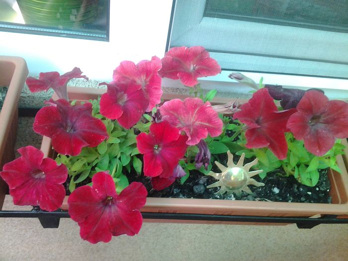 20140426_075849