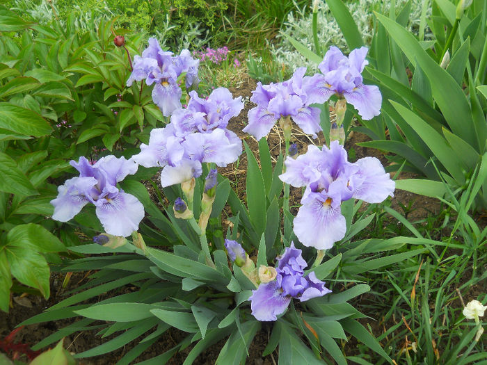 DSCN1357_015