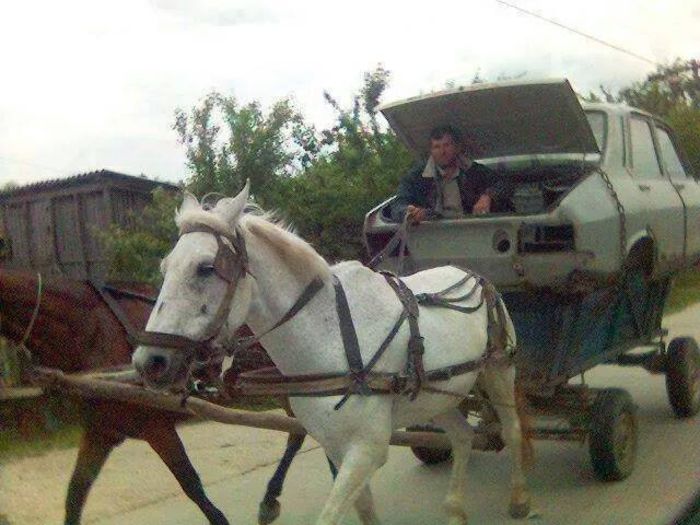 1979472_812086358821147_7365315060722750718_n