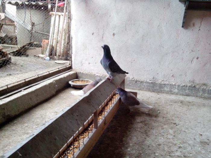 1978526_1389469131331583_812244562_o