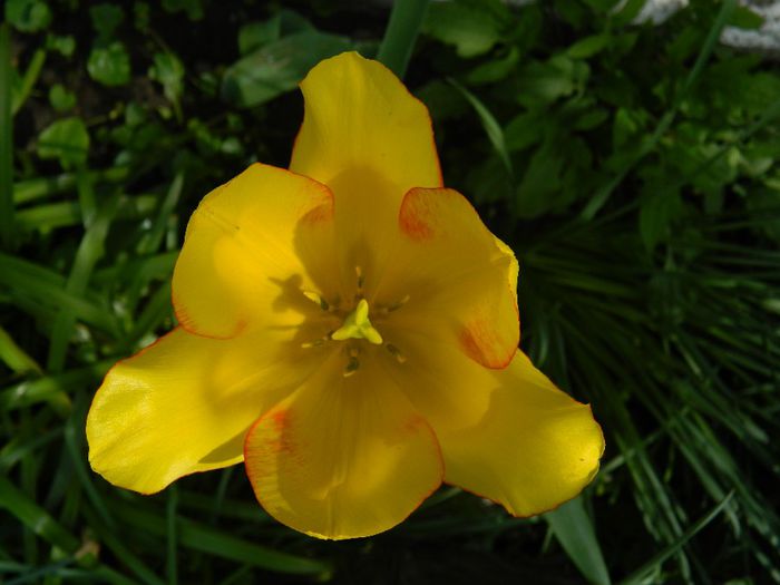 DSCN7502
