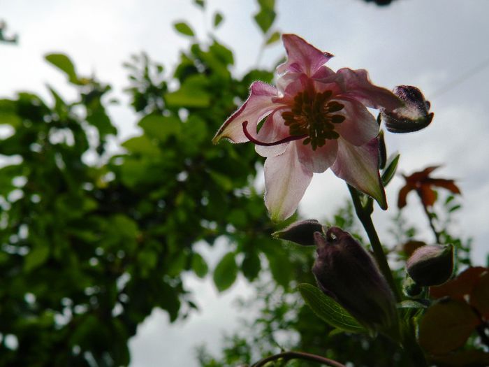 DSCN7549