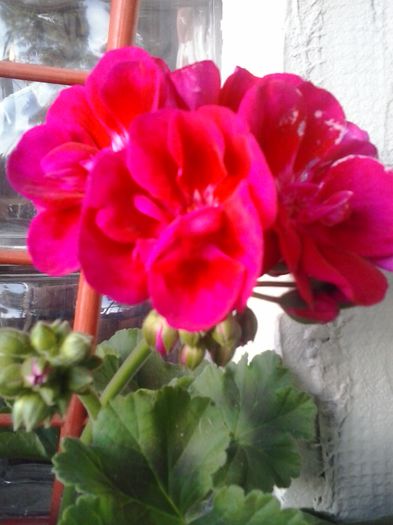 20140426_191941 - 2014