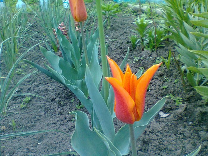 Fotografie0738