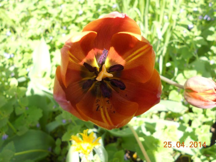 DSCN4779