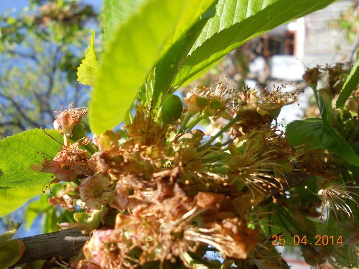 DSCN4801