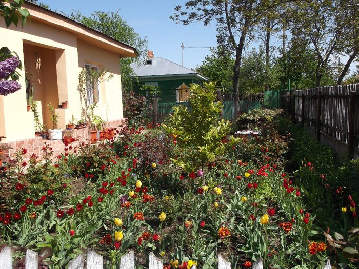 012 - Primavara 2014