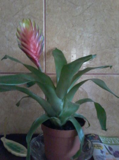 20140409_182837_resized